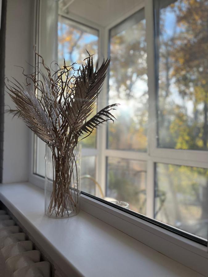 Apartment парк-апартаменти: двокімнатний люкс зі смарт-тв